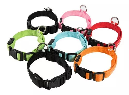 Collar NeoLed®