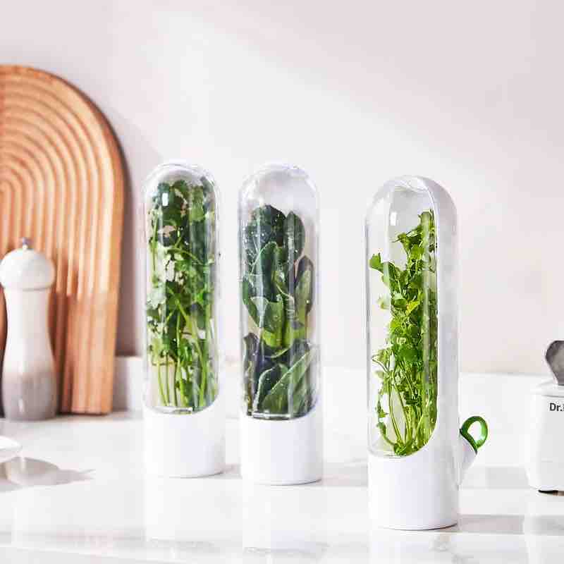 Recipiente HerbFresh®