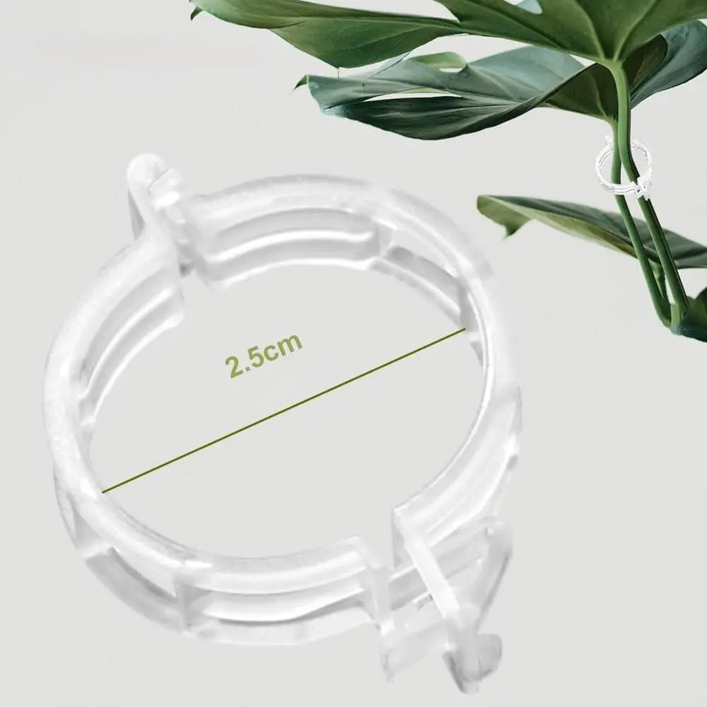 pack 100 Clip Plant