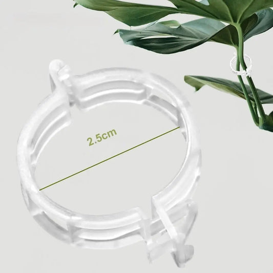 pack 100 Clip Plant