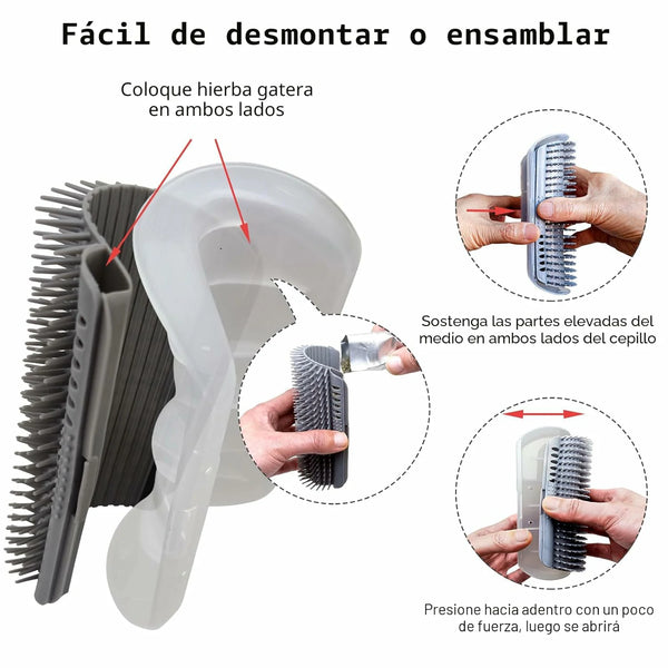 Masajeador de Autoservicio 24/7
