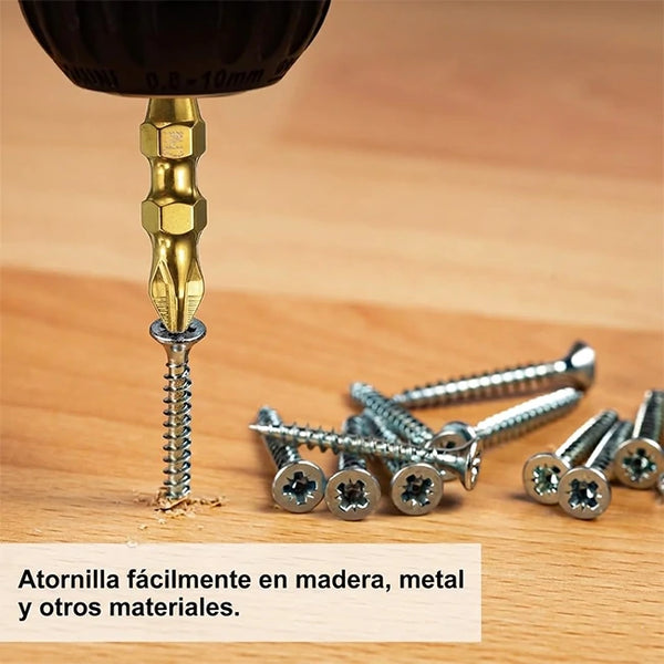 Juego de puntas magnéticas ProfiGrip