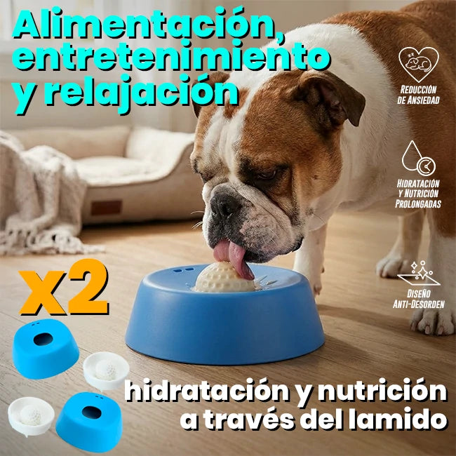 Pack x2 Cuencos Alimentación de Líquidos Para Mascotas Antideslizante