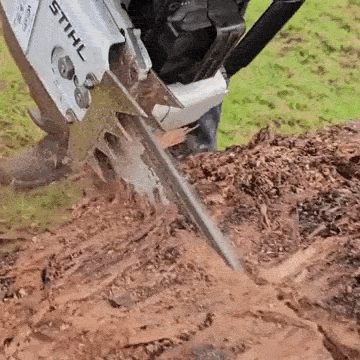 La Bestia de Madera