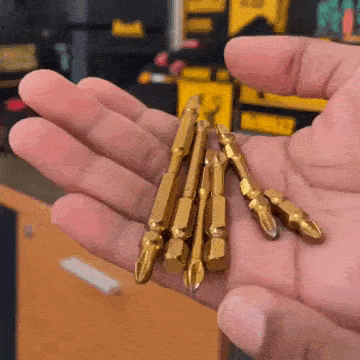 Juego de puntas magnéticas ProfiGrip