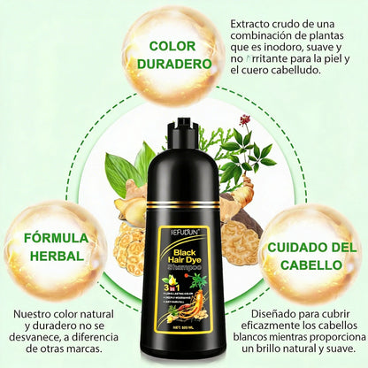 Shampoo Cubre Canas 3 En 1 Cobertura En Minutos
