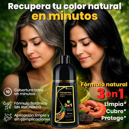 Shampoo Cubre Canas 3 En 1 Cobertura En Minutos