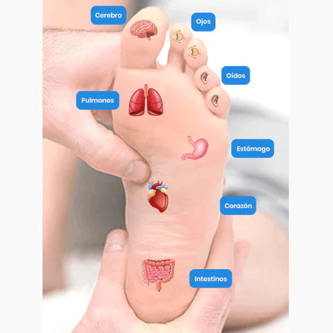 RelaxPies®